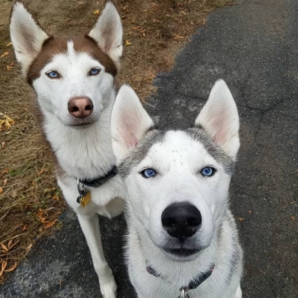 Meet your Posher, Stephanie - Picture 5 of 8